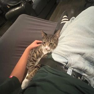 Meet your Posher, Barnie